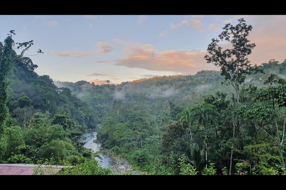 River and rainforest in Costa Rica